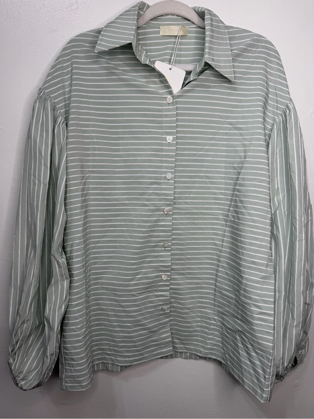 NWT Vita Grace Resort Volume Sleeve Shirt in Pistachio White color